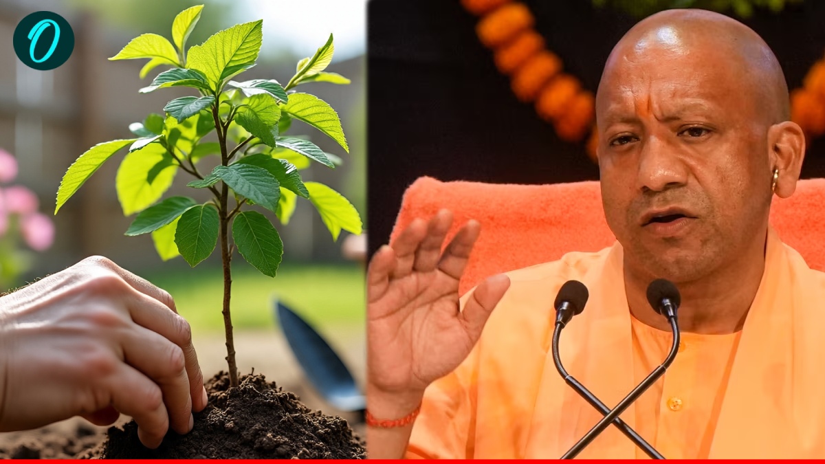 UP Seva Parv 2025: सीएम योगी के नेतृत्व में 1.25 करोड़ पौधों के राष्ट्रीय अभियान में यूपी को 15 लाख का लक्ष्य