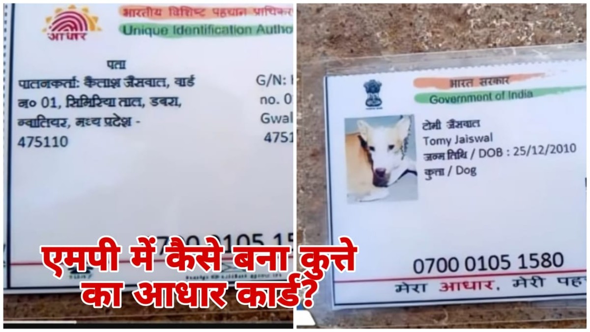 MP News: मध्य प्रदेश में कुत्ते का आधार कार्ड, टॉमी जायसवाल की अनोखी पहचान, क्या मतदाता सूची में भी होगा शामिल