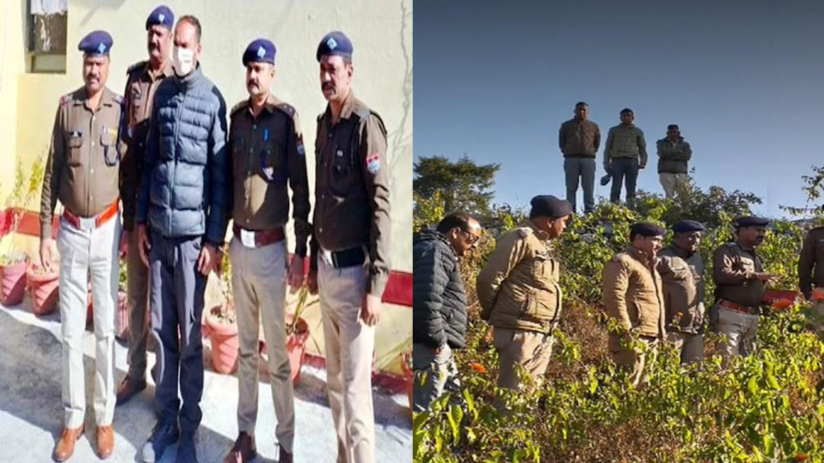 UK NEWS: अल्मोड़ा के सल्ट क्षेत्र में कहां से पहुंचा विस्फोटक पदार्थ जैलेटिन ट्यूब, पुलिस ने किया बड़ा खुलासा