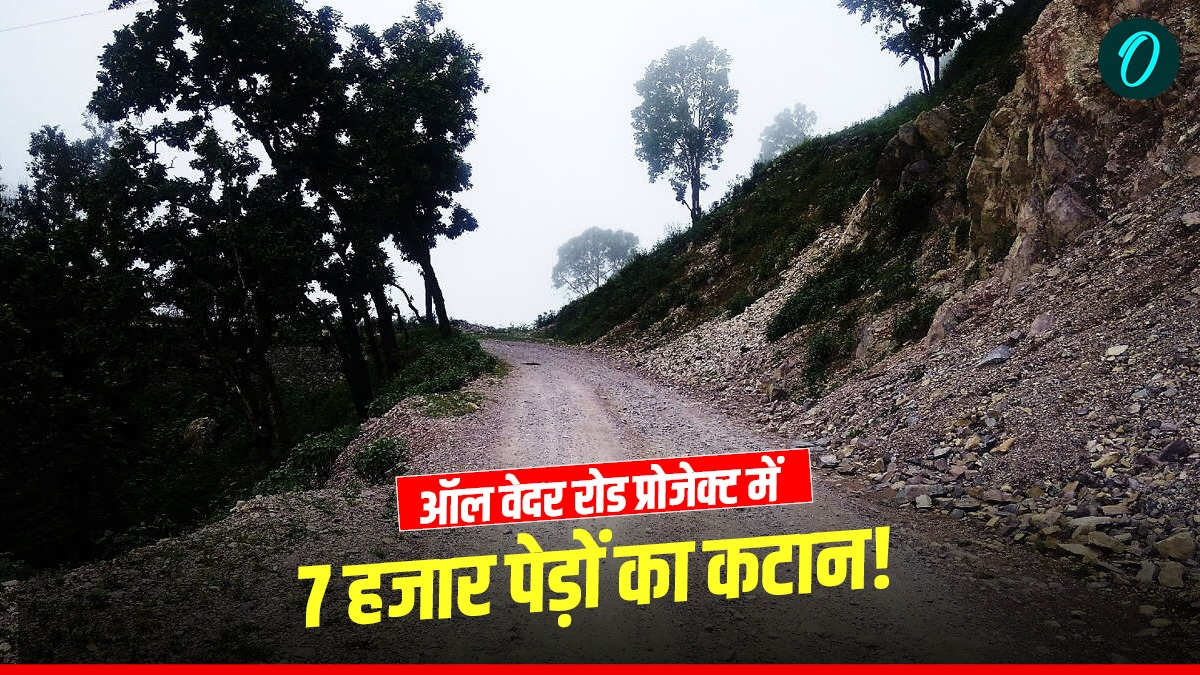 ऑल वेदर रोड प्रोजेक्ट में 7 हजार पेड़ों का कटान! जानिए क्या है उत्तरकाशी में गंगोत्री हाईवे चौड़ीकरण का विवाद
