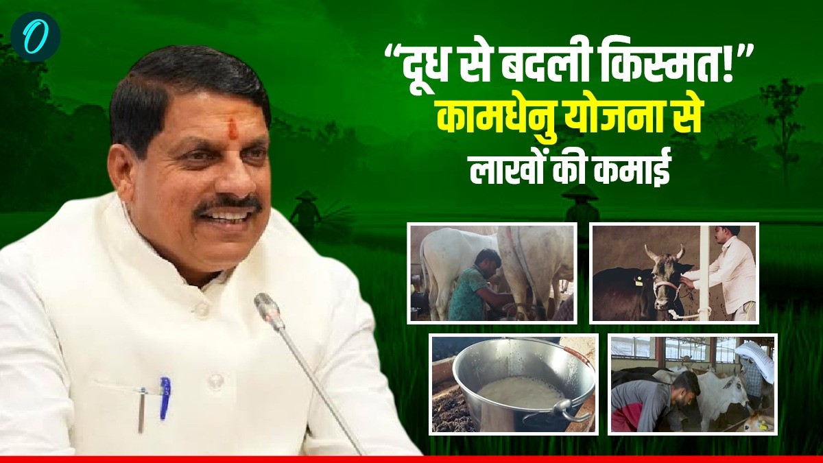 MP News: कामधेनु और मुख्यमंत्री डेयरी प्लस योजना से बदली किसानों की किस्मत, दूध उत्पादन से बढ़ी लाखों की आमदनी