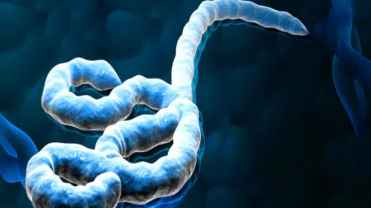 युगांडा की महिला में दिखे इबोला के लक्षण, बेंगलुरु के अस्पताल में भर्ती