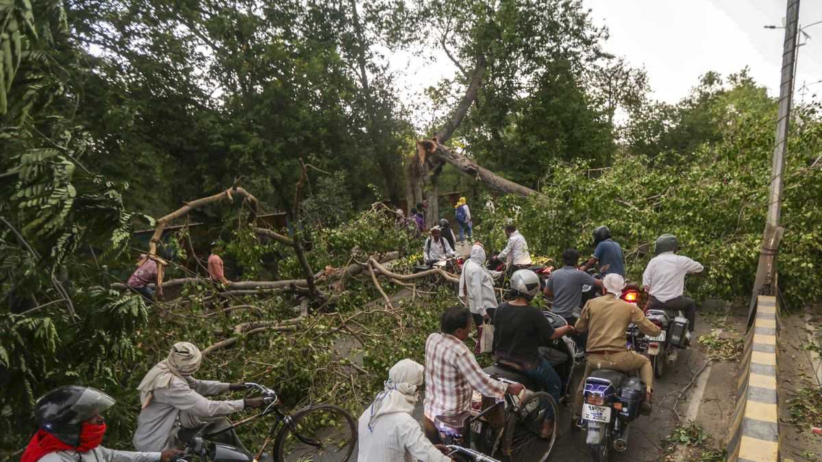 Storm: UP से Delhi तक 'कयामत' का मंजर! 117 लाशें, 330 घर तबाह, एक्सपर्ट ने बताया क्यों आ रहे आंधी-तूफान?