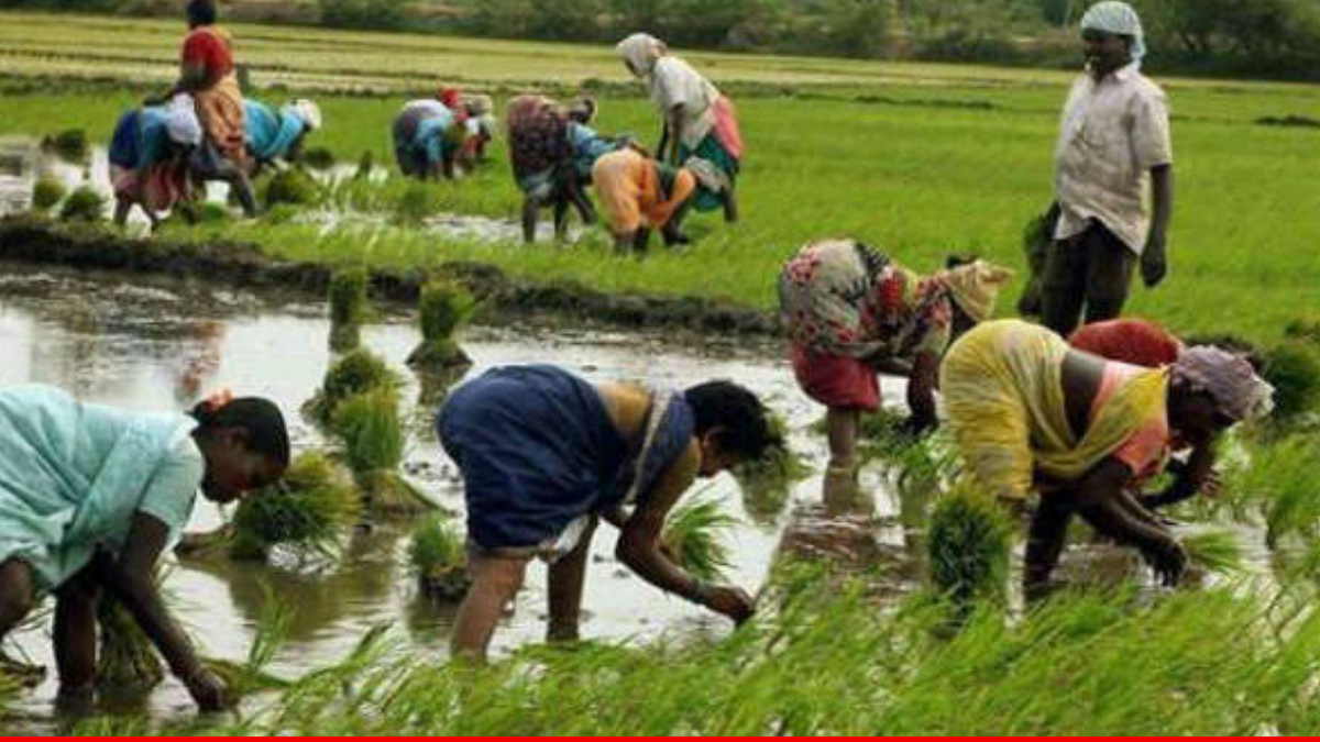 महाराष्ट्र के अन्नदाताओं के लिए बड़ी सौगात! फडणवीस सरकार ने 2 लाख रुपये तक का किसानों का कर्ज किया माफ