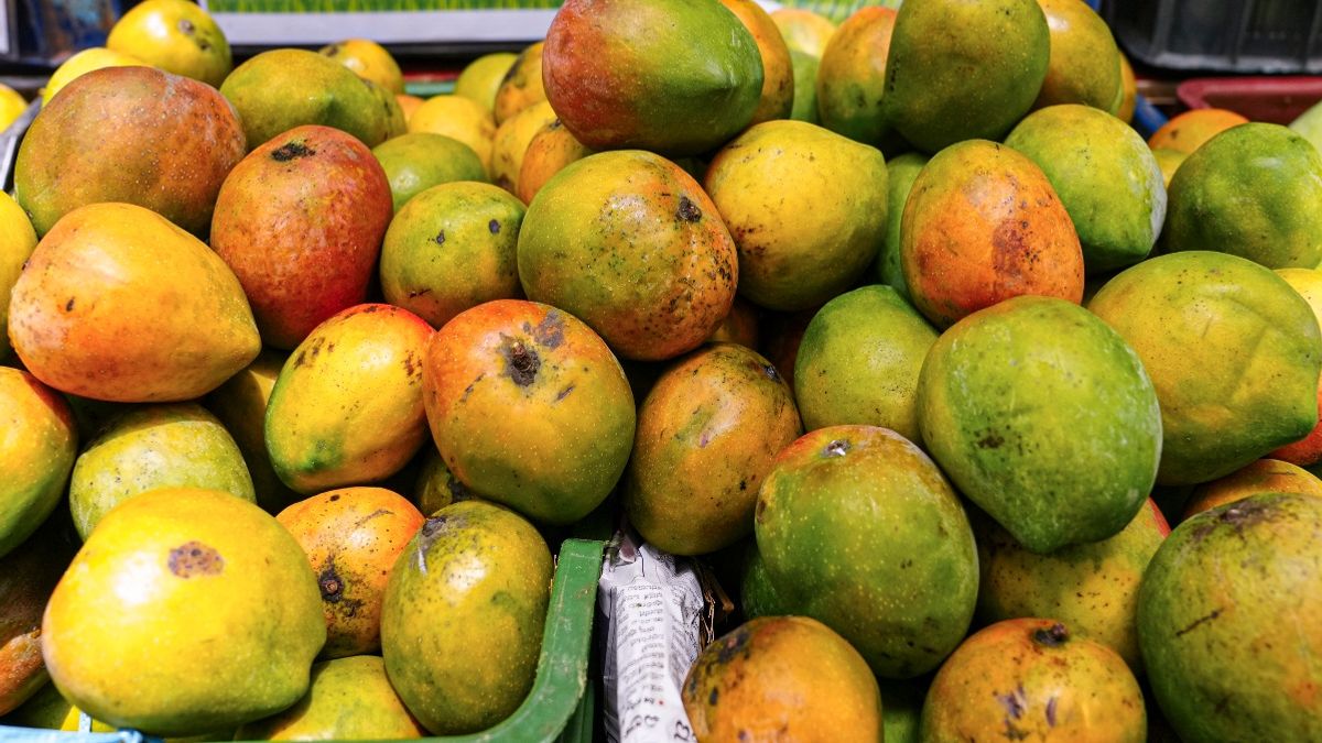 Nepal Mangoes Ban: अल्फांसो से चौसा तक खतरे में आम! नेपाल ने लगाया बैन, क्या मिली खराबी?