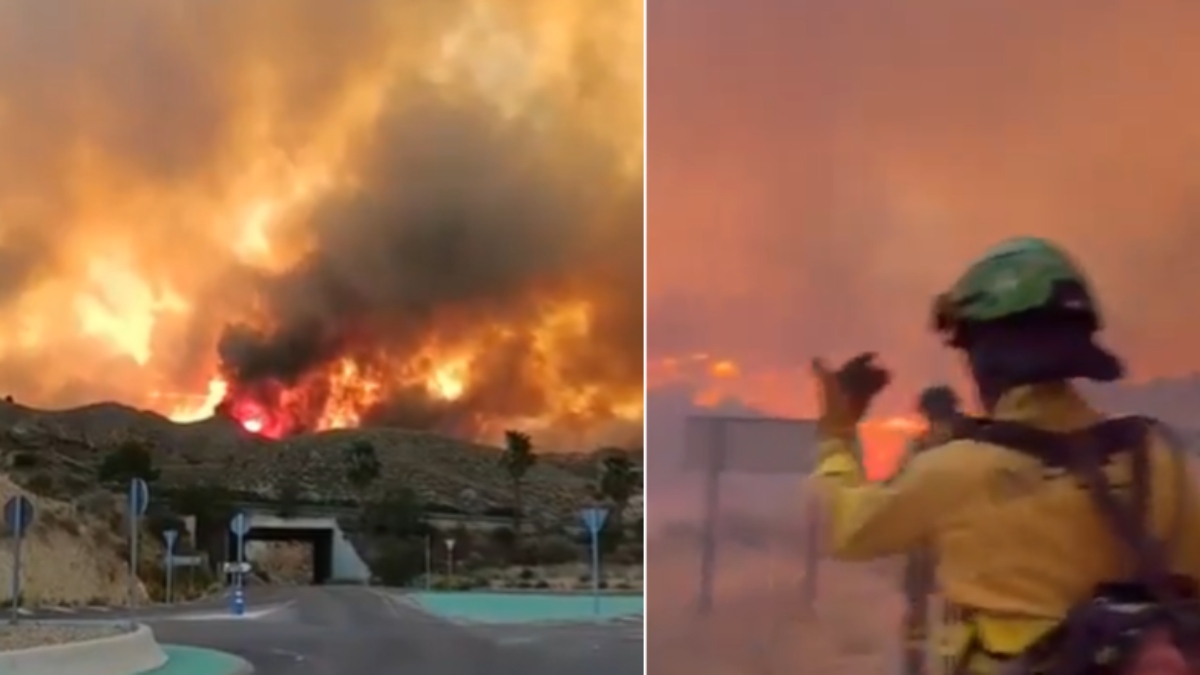 Spain Wildfires Reason: स्पेन में कैसे आग के तांडव में मरे 12 लोग? 23 लापता, कार में फंसे-पैदल भागते जिंदा जले