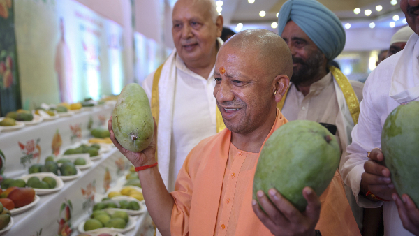 UP Mango Festival 2026: सिर्फ 9% रकबे पर 26% उत्पादन, CM योगी ने बताया- आम में यूपी नंबर-1 क्यों?
