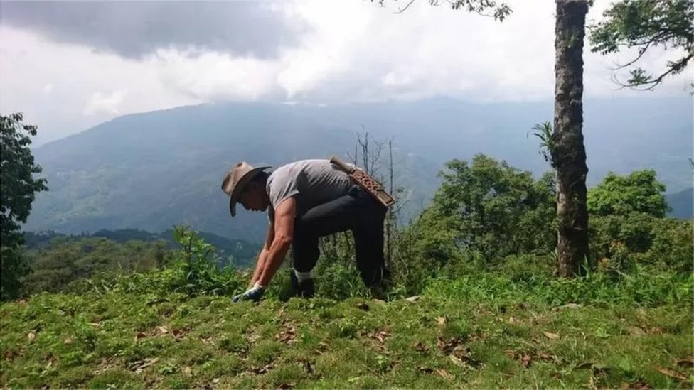 कभी चीनी कहे गए पूर्वोत्तर भारत के कलाकार कैसे बॉलीवुड में लिख रहे हैं ख़ुद की कहानी