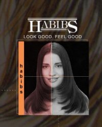 Habib Saloon