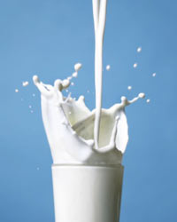 MIlk