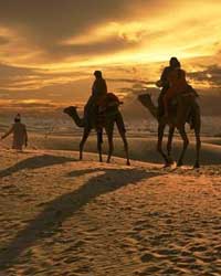 Thar Desert