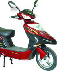 Electronic Bike