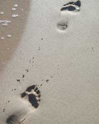 Footsteps Footsteps