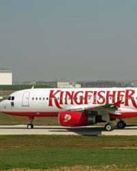 Kingfisher Kingfisher