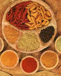 indian spices indian spices