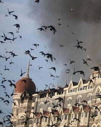 mumbai taj mumbai taj