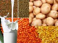 Food Products Food Products