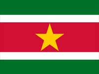 Suriname flag Suriname flag