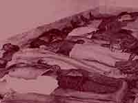 Bhopal Gas Tragedy Bhopal Gas Tragedy