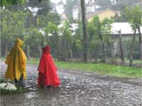 Rain Rain