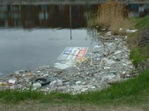 Water pollution Water pollution