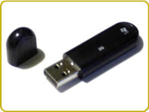 Put secure password in pen drive Put secure password in pen drive
