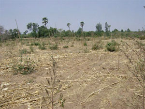 Realtors warn Land Bill to make land costlier by up to 80 percent Realtors warn Land Bill to make land costlier by up to 80 percent