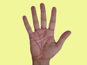 Palmistry Palmistry