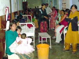 japanese encephalitis japanese encephalitis