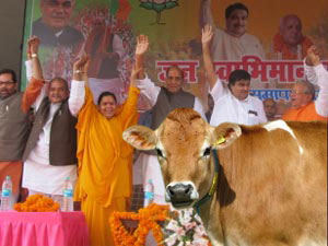 Bjp Leaders Bjp Leaders