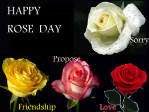 Rose Day