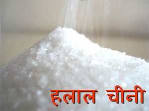 Halal Sugar 