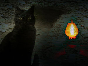 /news/2012/06/20/haryana-superstition-came-in-to-light-in-panchkula-219092.html /news/2012/06/20/haryana-superstition-came-in-to-light-in-panchkula-219092.html