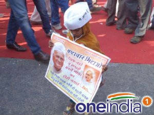 Anna Supporter Anna Supporter