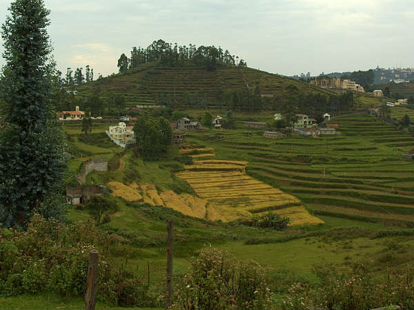 कोडाईकनाल