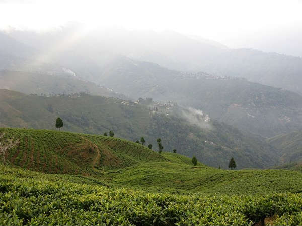 दार्जिलिंग