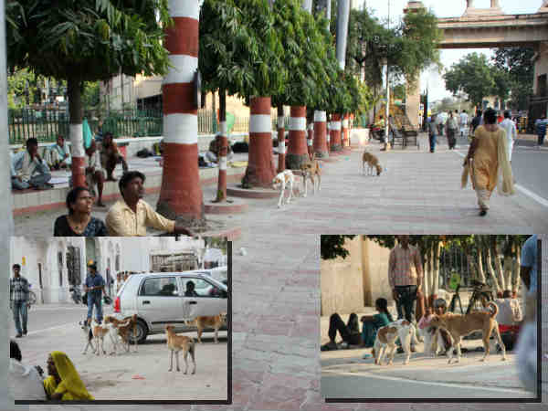 KGMU has no preparation to welcome President KGMU has no preparation to welcome President