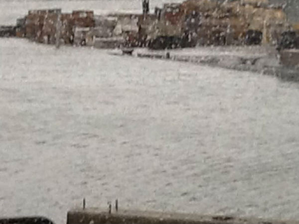 सैंडी ने मचाई तबाही