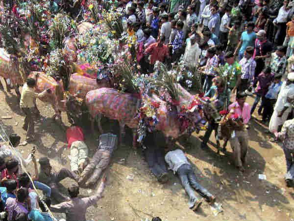 चंदवाना में नया साल 