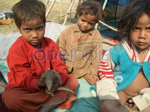 खिलौनों से नहीं सांप और गिरगिट से खेलते हैं बच्चे खिलौनों से नहीं सांप और गिरगिट से खेलते हैं बच्चे