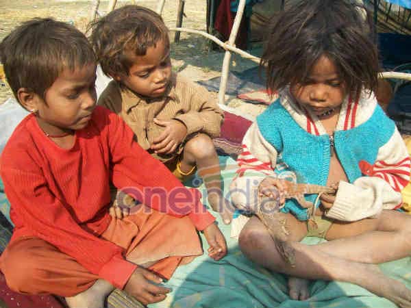 खिलौनों से नहीं सांप और गिरगिट से खेलते हैं बच्चे खिलौनों से नहीं सांप और गिरगिट से खेलते हैं बच्चे