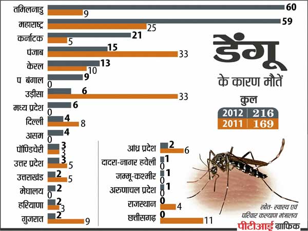 डेंगू का हाल