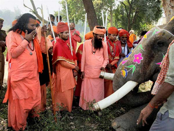 हाथी को देखते साधु 