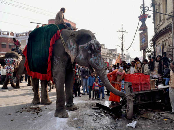 प्‍यास बुझाता हाथी