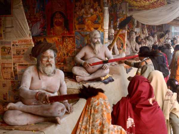 वृश्चिक वृश्चिक