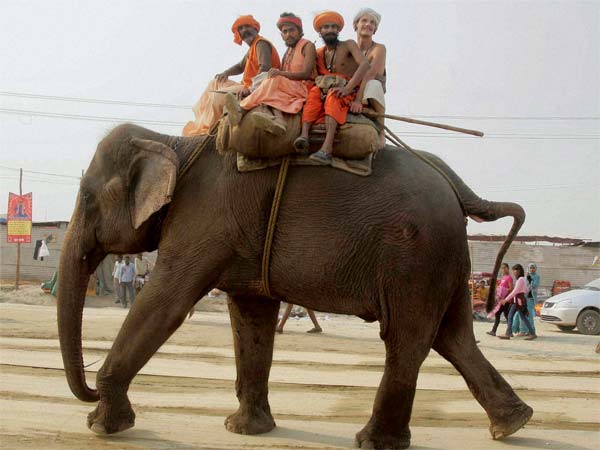 कुंभ मेला