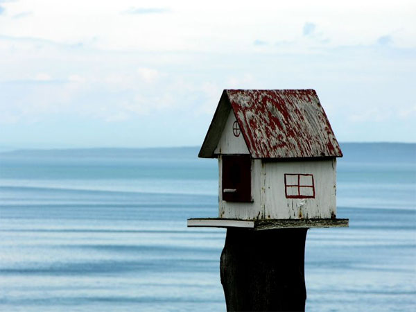 छोटे मकान 