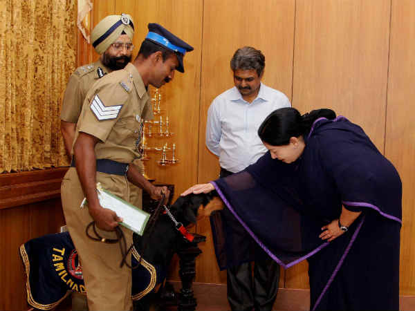 जयाललिता ने कुत्ते को दी साबाशी जयाललिता ने कुत्ते को दी साबाशी