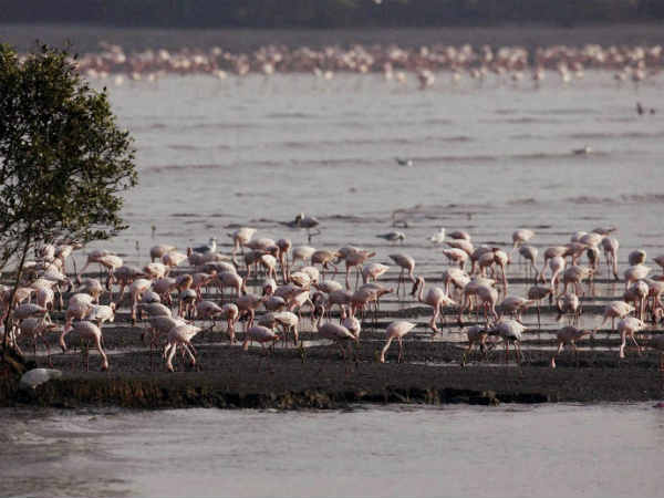 मुंबई का नजारा