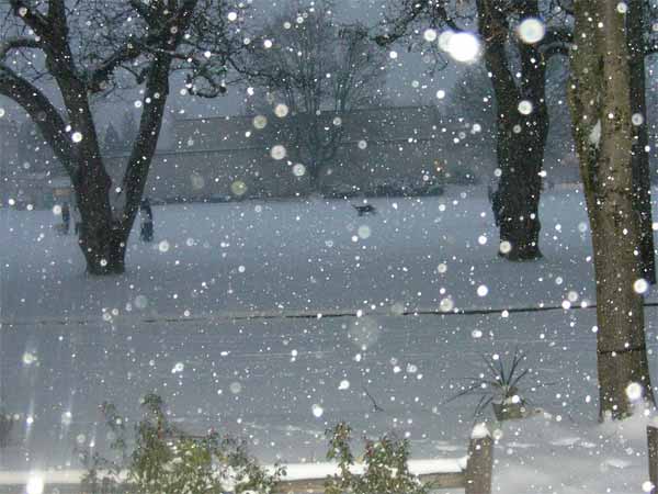 बर्फबारी